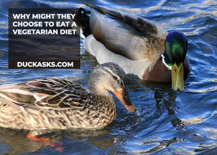 Why Might They Choose to Eat a Vegetarian Diet