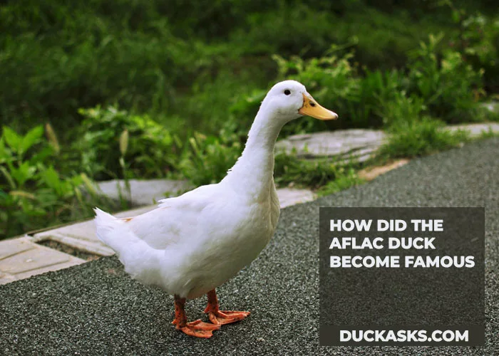 How Did the Aflac Duck Become Famous