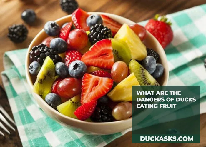 What Are the Dangers of Ducks Eating Fruit