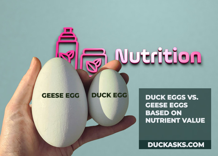 Duck Eggs vs. Geese Eggs Based on Nutrient Value