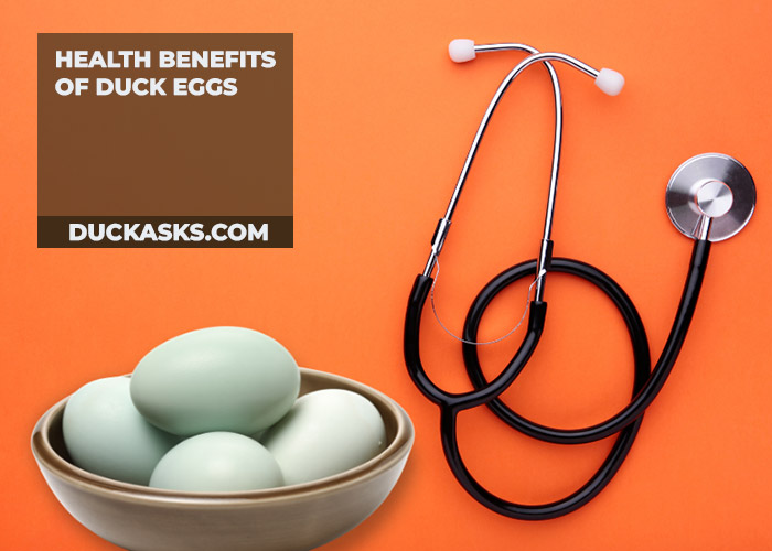 Health Benefits of Duck Eggs