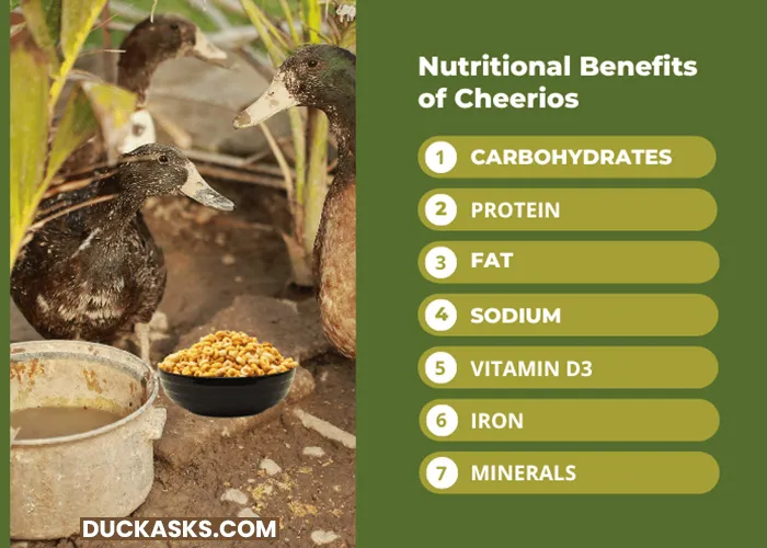 What Are the Nutritional Benefits of Cheerios