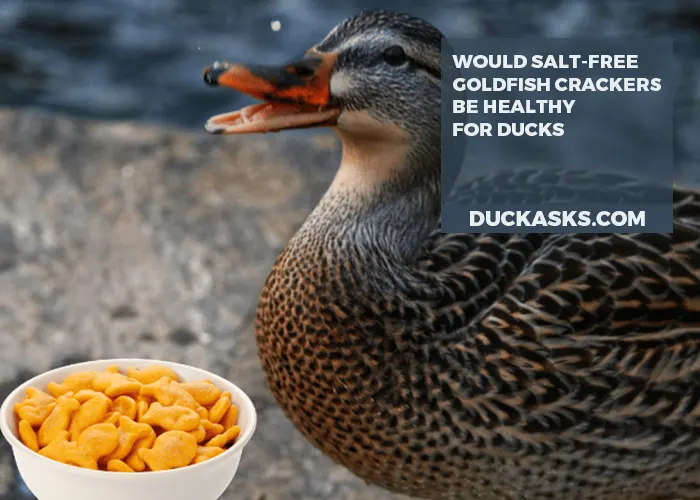 Would Salt-free Goldfish Crackers Be Healthy for Ducks