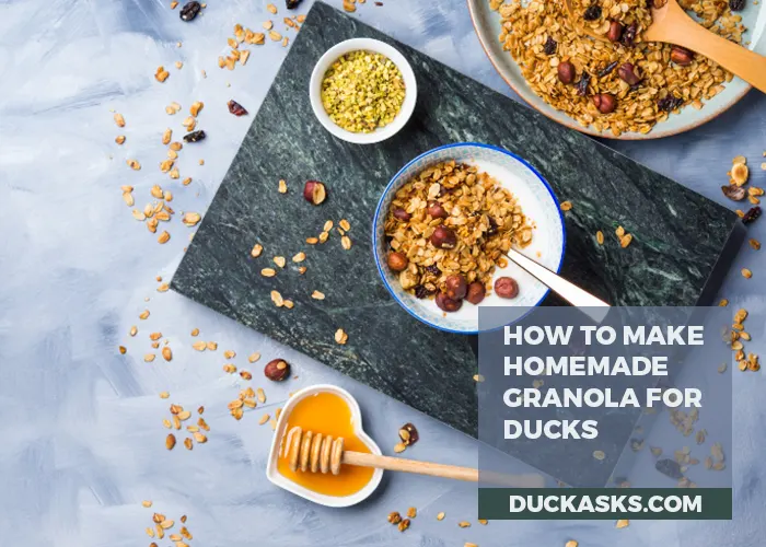 How to Make Homemade Granola for Ducks