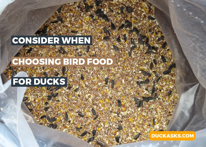 What to Consider When Choosing Bird Food for Ducks