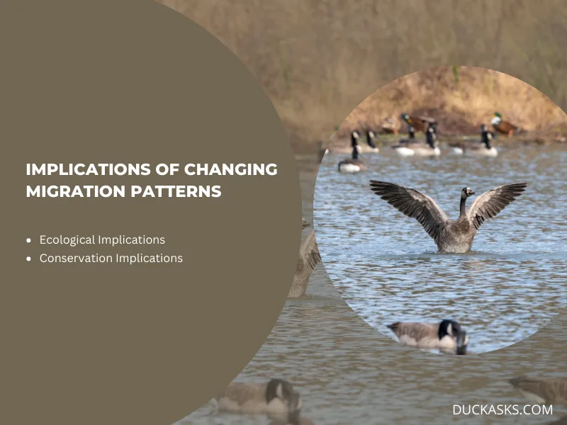 Implications of Changing Migration Patterns