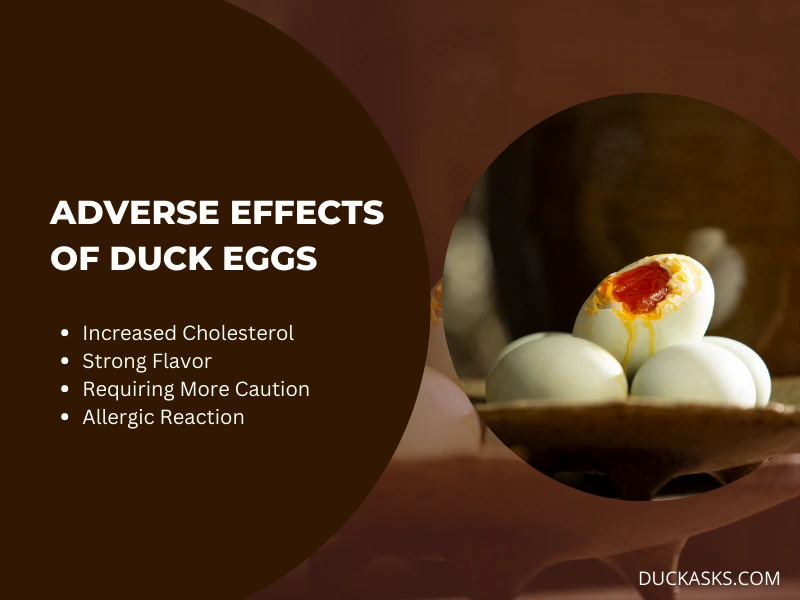 A Few Adverse Effects of Duck Eggs