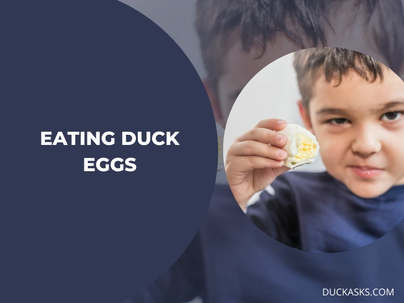 Can You Eat Duck Eggs