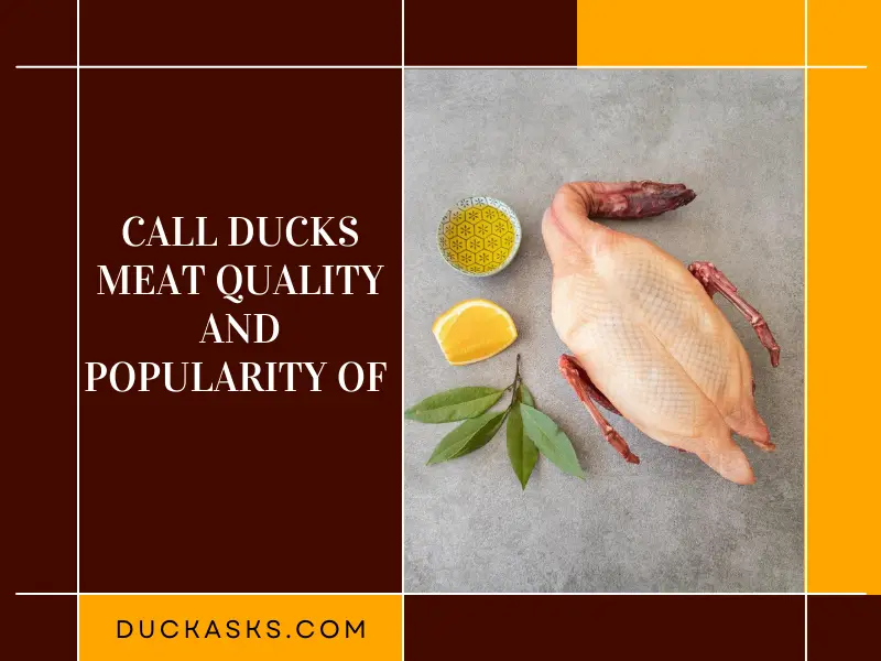 The Meat Quality and Popularity of Call Ducks