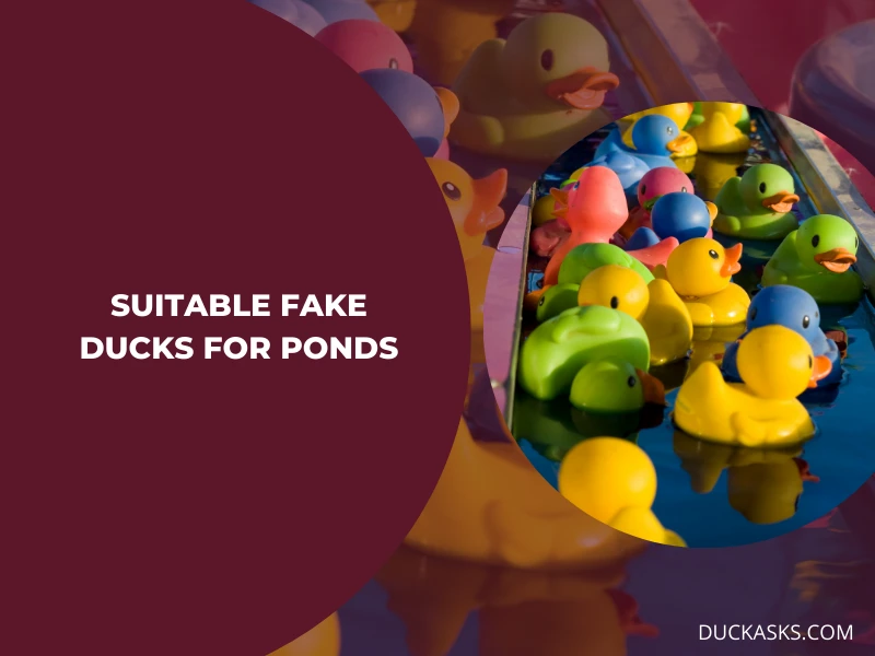 What Types of Fake Ducks Are Suitable for Ponds