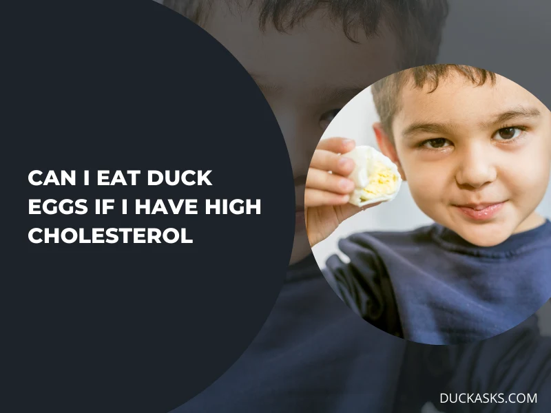 Can I Eat Duck Eggs If I Have High Cholesterol