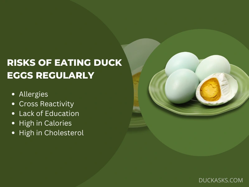 Risks of Eating Duck Eggs Regularly